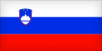 Словения - Канада 1:0 видеообзор