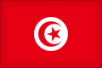 Южная Корея - Тунис 0:1