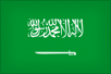 Саудовская Аравия - Австралия 2:3