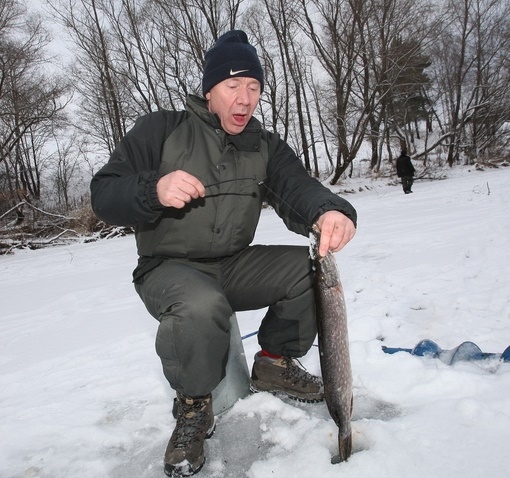 ""  ,    ,   ,  ,  .   