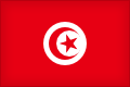 Тунис - Камерун 0:1